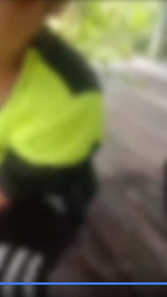 ตามหาลูก