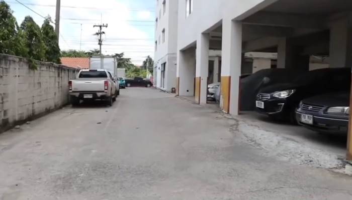 เจ๊หงส์ พิตบูล