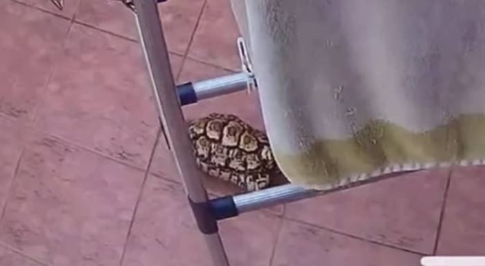 ราวตากผ้า