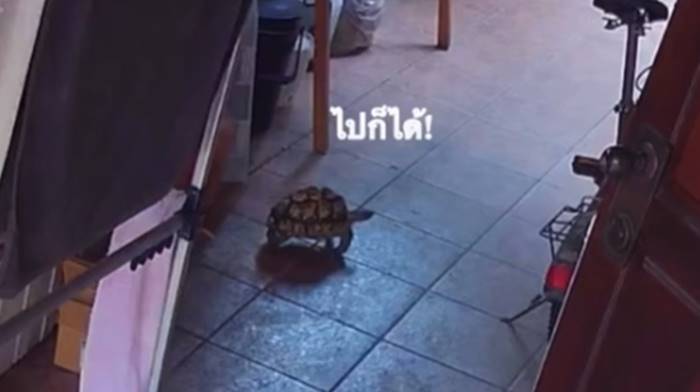 ราวตากผ้า