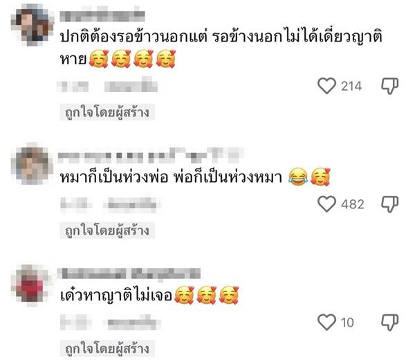 หมาเฝ้าเจ้าของ