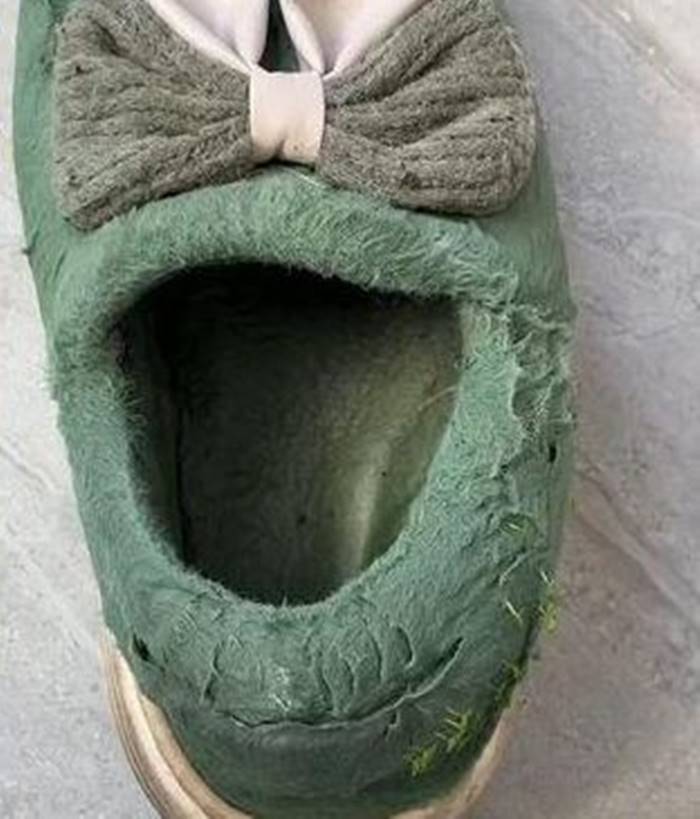 ซักรองเท้า