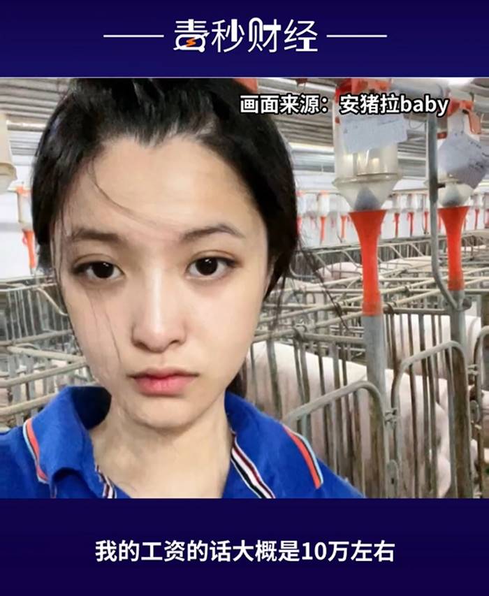 ฟาร์มหมู