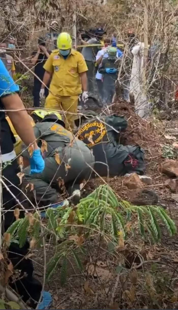  ฆ่าหมกป่า