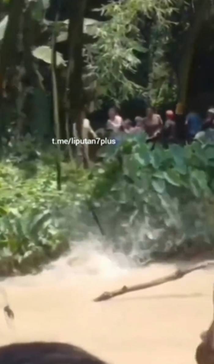 จระเข้กัดคน