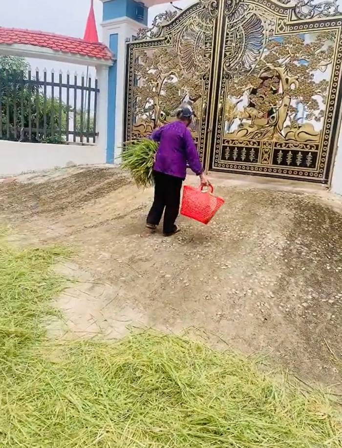 ช่วยคนแก่