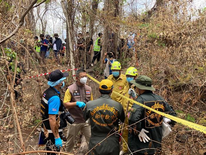  ฆ่าหมกป่า