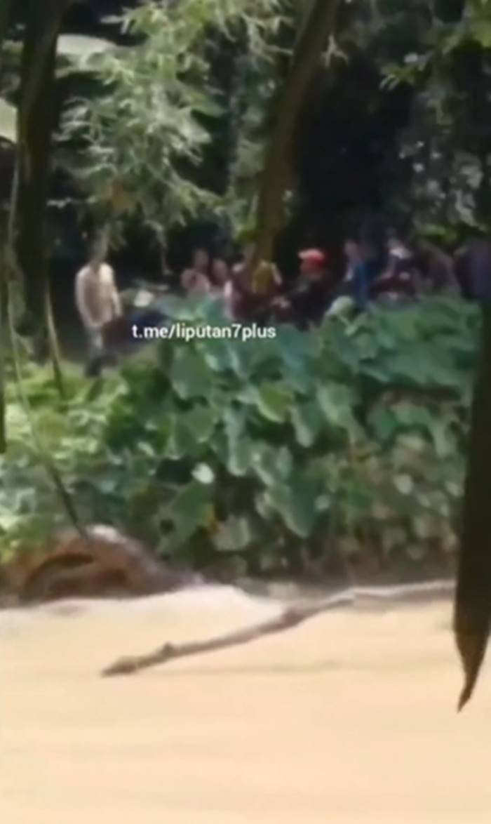 จระเข้กัดคน