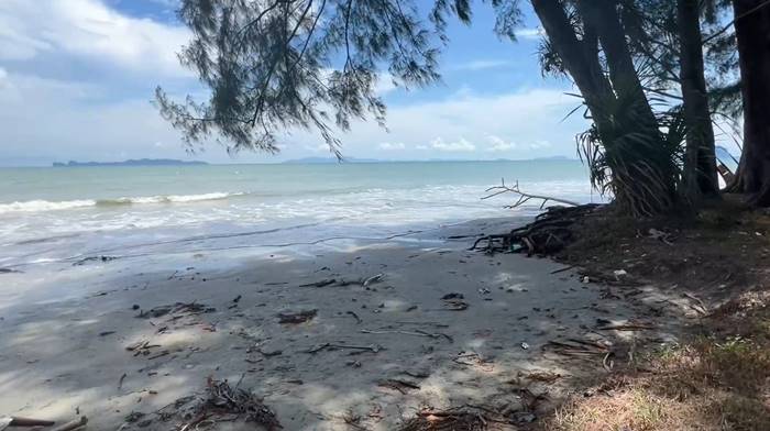 เซ็กส์ริมหาด