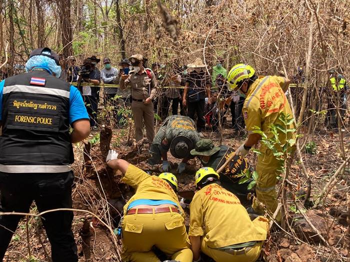  ฆ่าหมกป่า