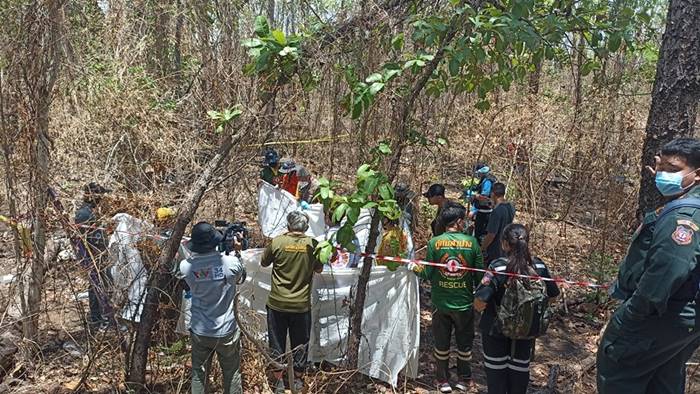  ฆ่าหมกป่า