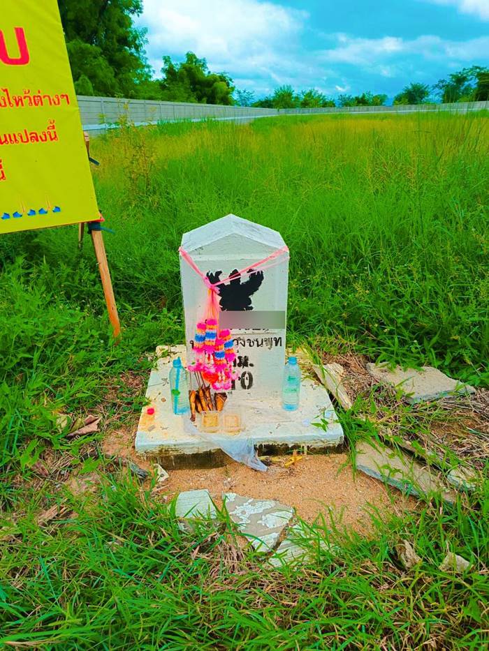 ปลูกบ้านใหม่