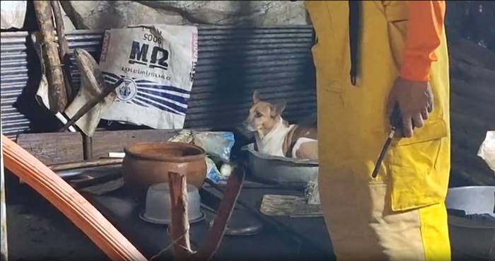 ไฟไหม้บ้าน