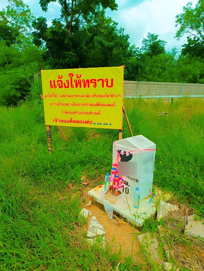 ปลูกบ้านใหม่