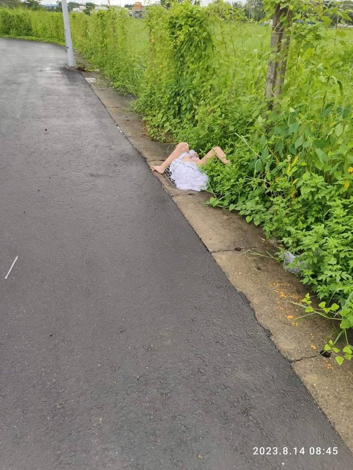 ตุ๊กตายาง