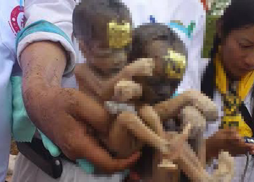 ตะลึง ! ล้างป่าช้าลำปาง เจอศพเด็กไม่เน่าเปื่อย