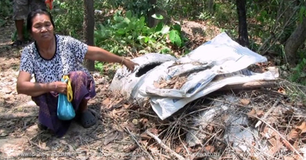  แก๊งขโมย 