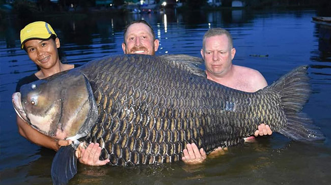 ปลากระโห้