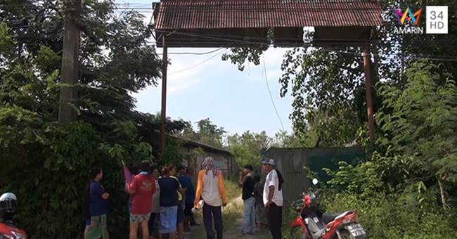 กัญชาอัดแท่ง