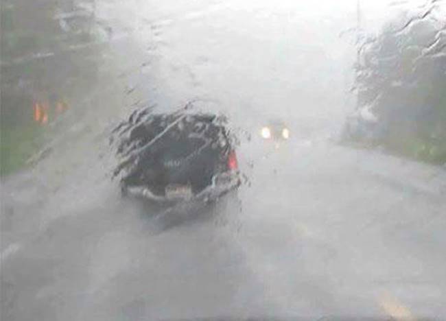 เก๋งฝ่าฝนชนต้นไม้