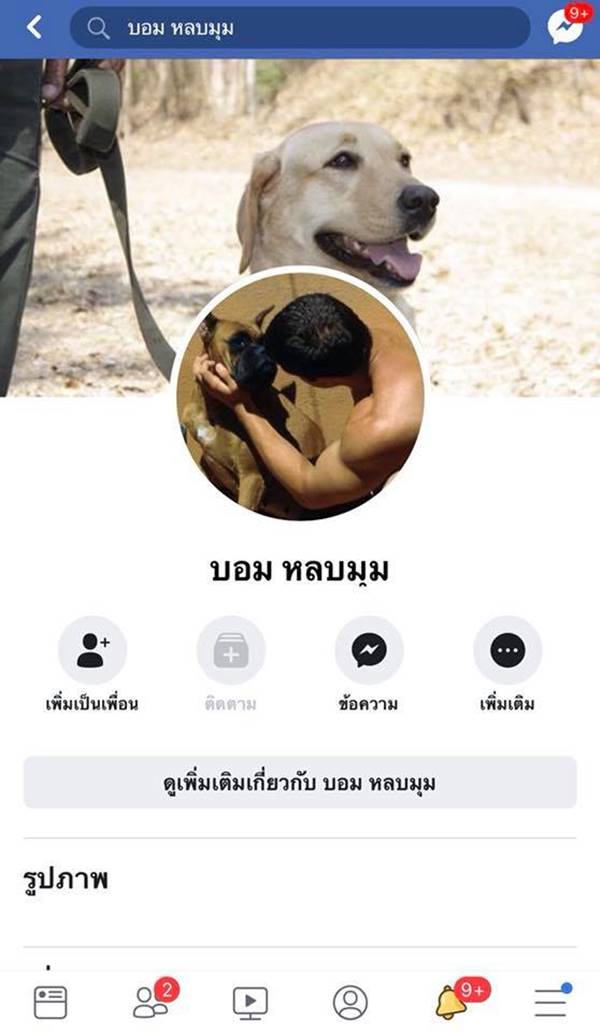 ทำร้ายหมา