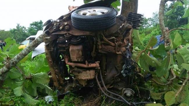 เก๋งฝ่าฝนชนต้นไม้