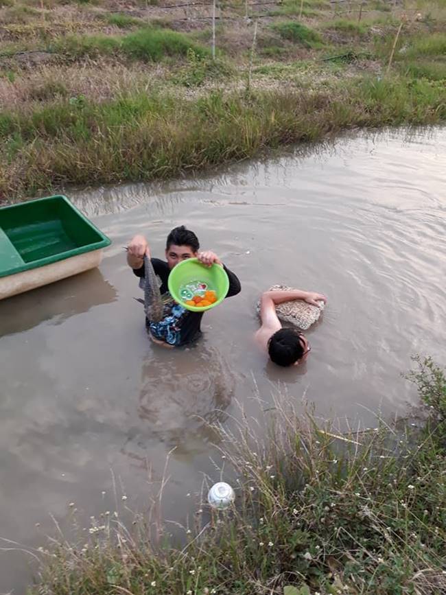 ปลาซัคเกอร์ 