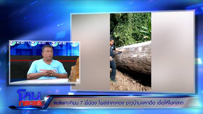 ต้นตะเคียนยักษ์ 