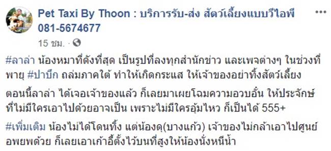 น้องหมาติดพายุปาบึก