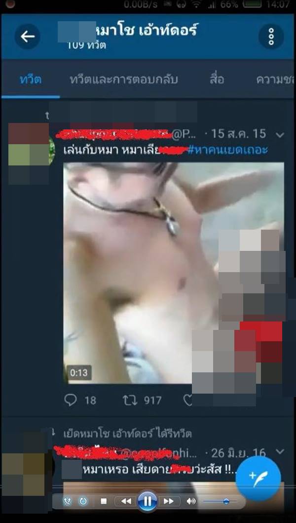 ทำร้ายหมา