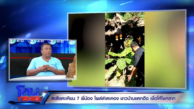 ต้นตะเคียนยักษ์ 