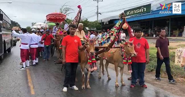 น้องชายแต่งหลอกกับเพื่อนเจ้าสาว