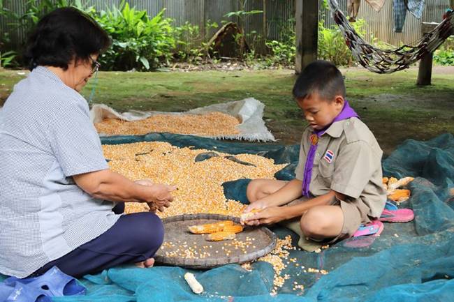 หนูน้อยยอดกตัญญู