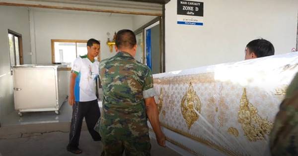 ทหารเรือถูกปลาเต็กเล้งพุ่งแทงคอดับ