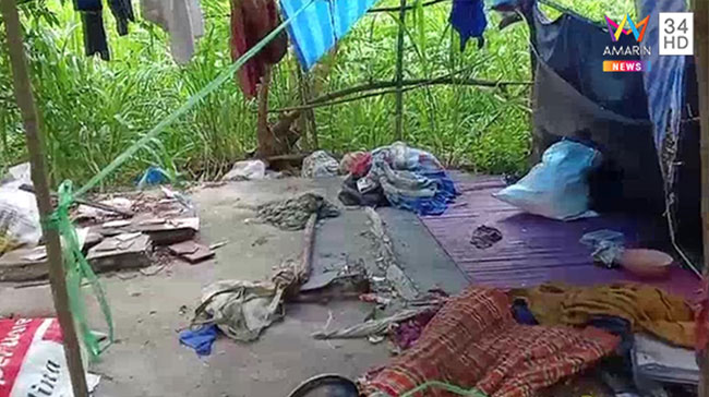 คนตายในป่า