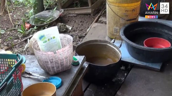 โรคลมชัก