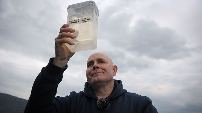 สัตว์ประหลาดแห่งล็อกเนส