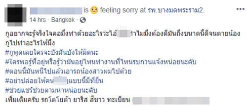 ผัวฆ่าเมีย