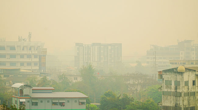 ฝุ่น PM2.5