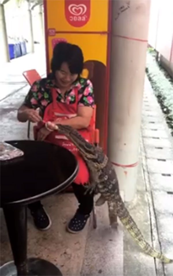 ตัวเงินตัวทอง