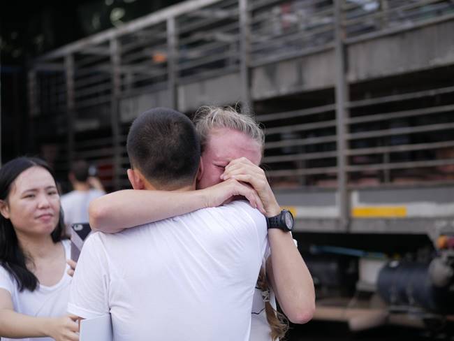 ฆ่าสัตว์