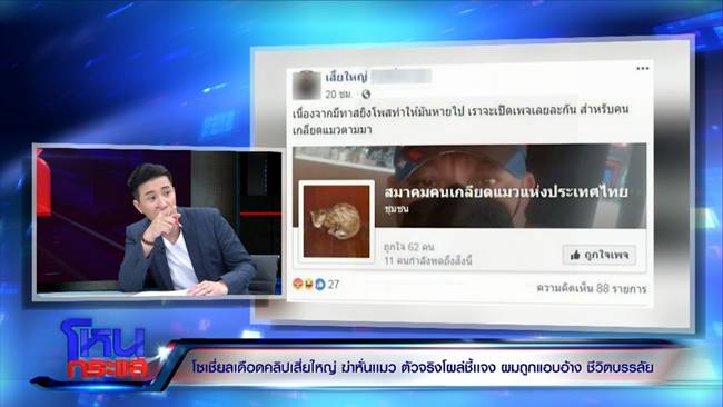 เสี่ยใหญ่ฆ่าแมว