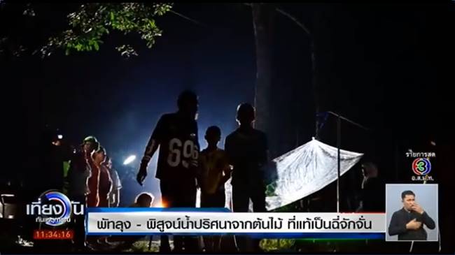 ปริศนาละอองน้ำจากต้นสะตอ 