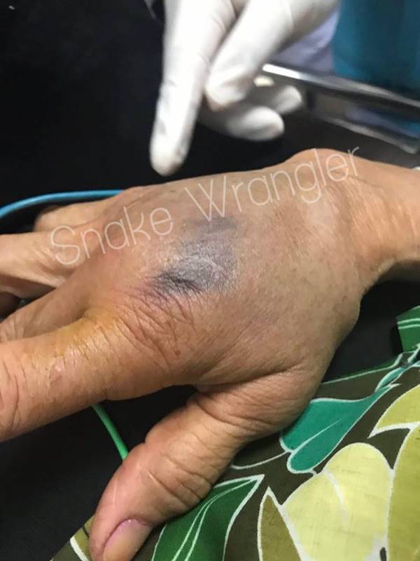 งูเห่าเข้าบ้าน