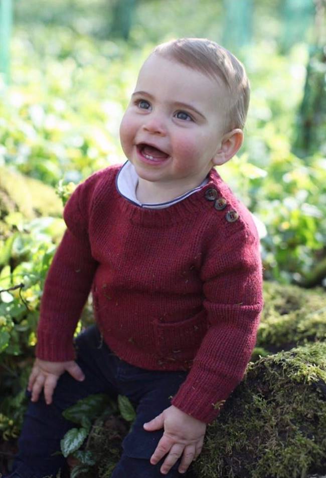 เจ้าชายหลุยส์