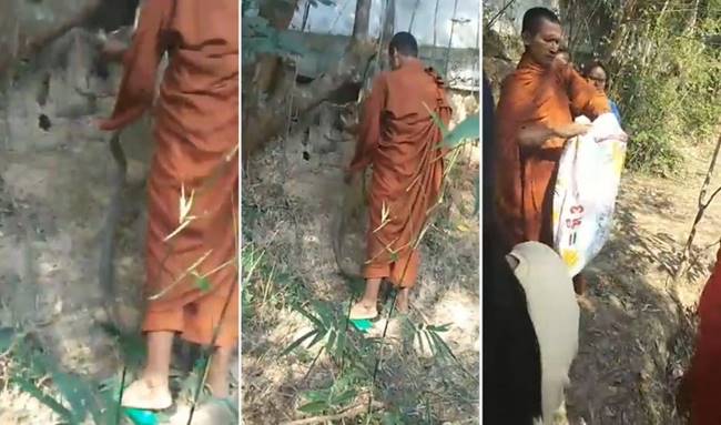 พิธีปล่อยงูสะเดาะเคราะห์ 