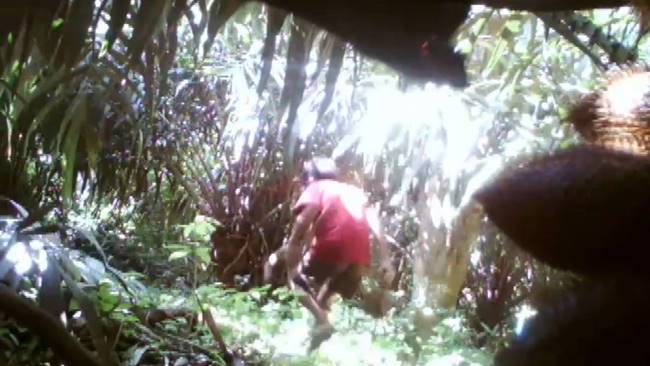 ขโมยทุเรียน