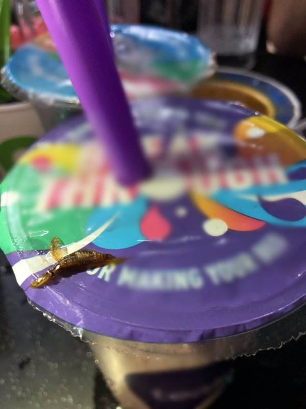 ชานมไข่มุก