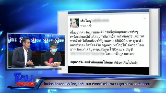 เสี่ยใหญ่ฆ่าแมว