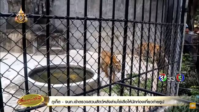  สวนสัตว์